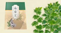 【行業(yè)資訊】國(guó)內(nèi)首部艾草專著《南陽(yáng)艾》，在南陽(yáng)新書首發(fā)！