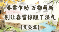 【二十四節(jié)氣灸】春雷驚醒濕氣！驚蟄艾灸3穴，疏肝祛濕養(yǎng)元氣！